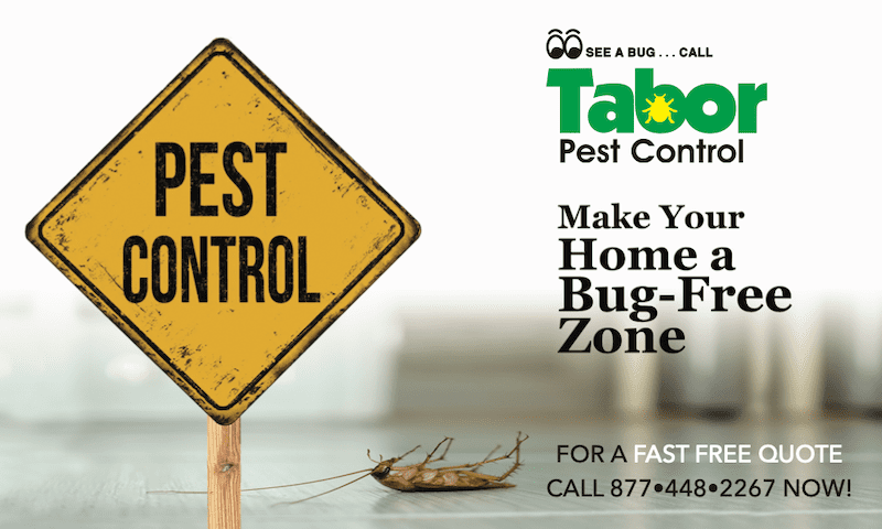 We help get rid of cockroaches, call Tabor today at 877-448-2267