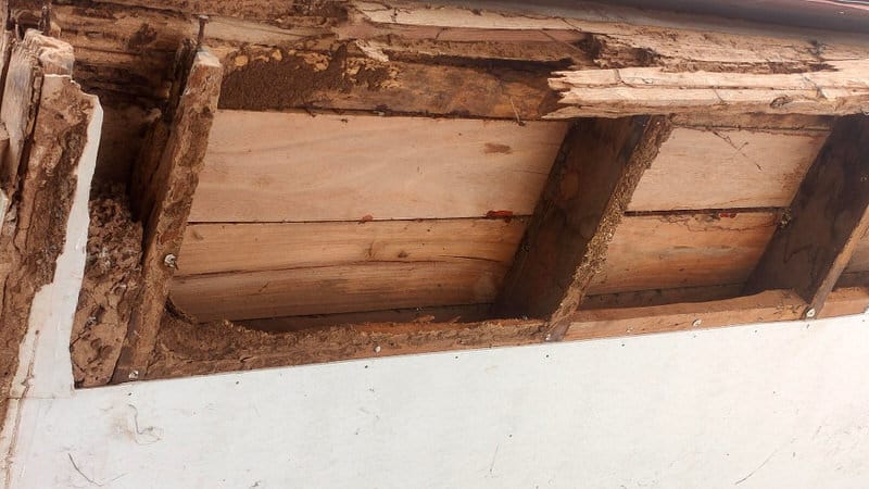 A visual of rotting wood at a commercial property that is attracting termites
