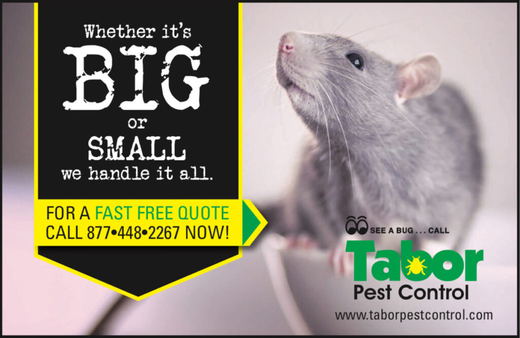A Tabor Pest Control ad for rodent pest control